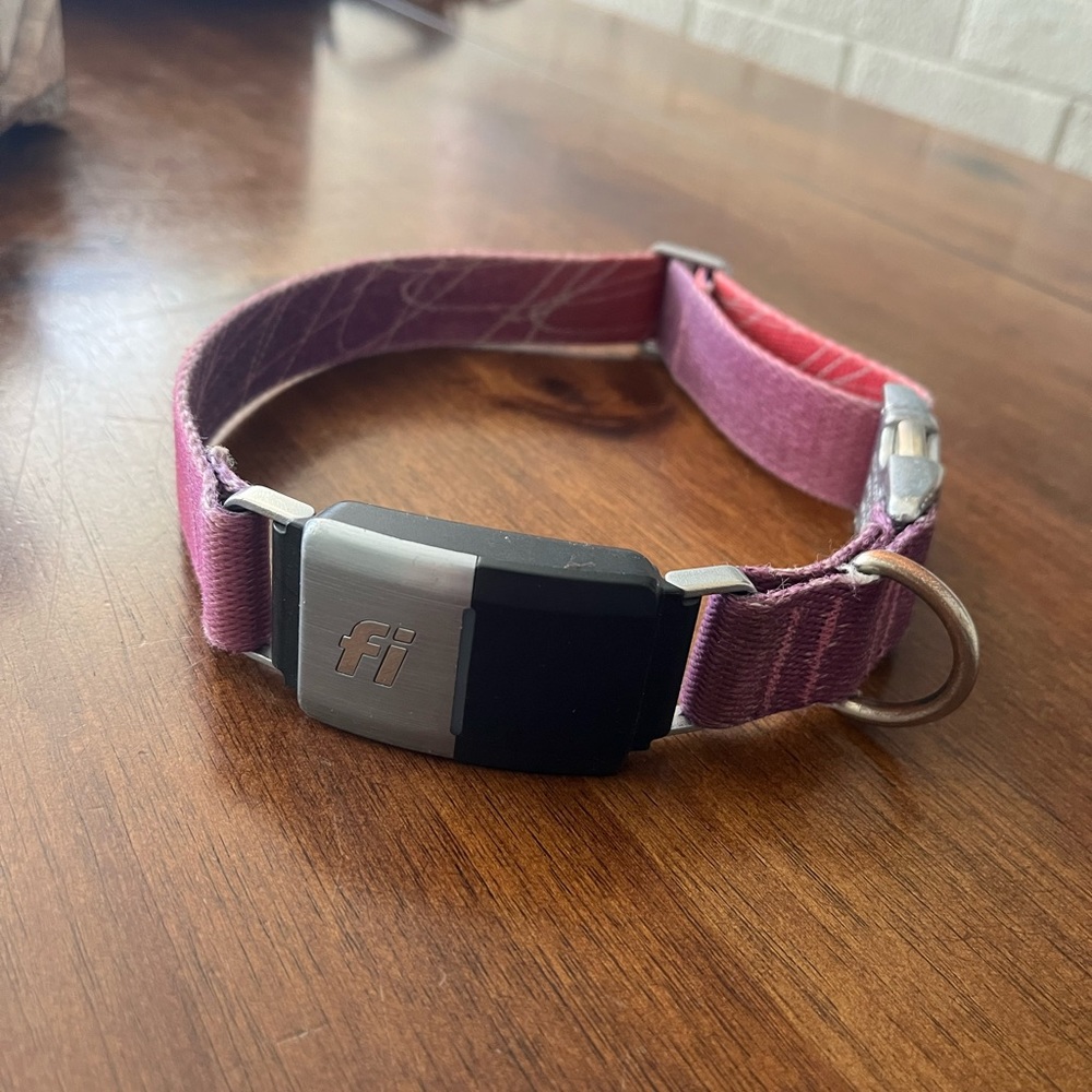 Fi Dog collar Medium